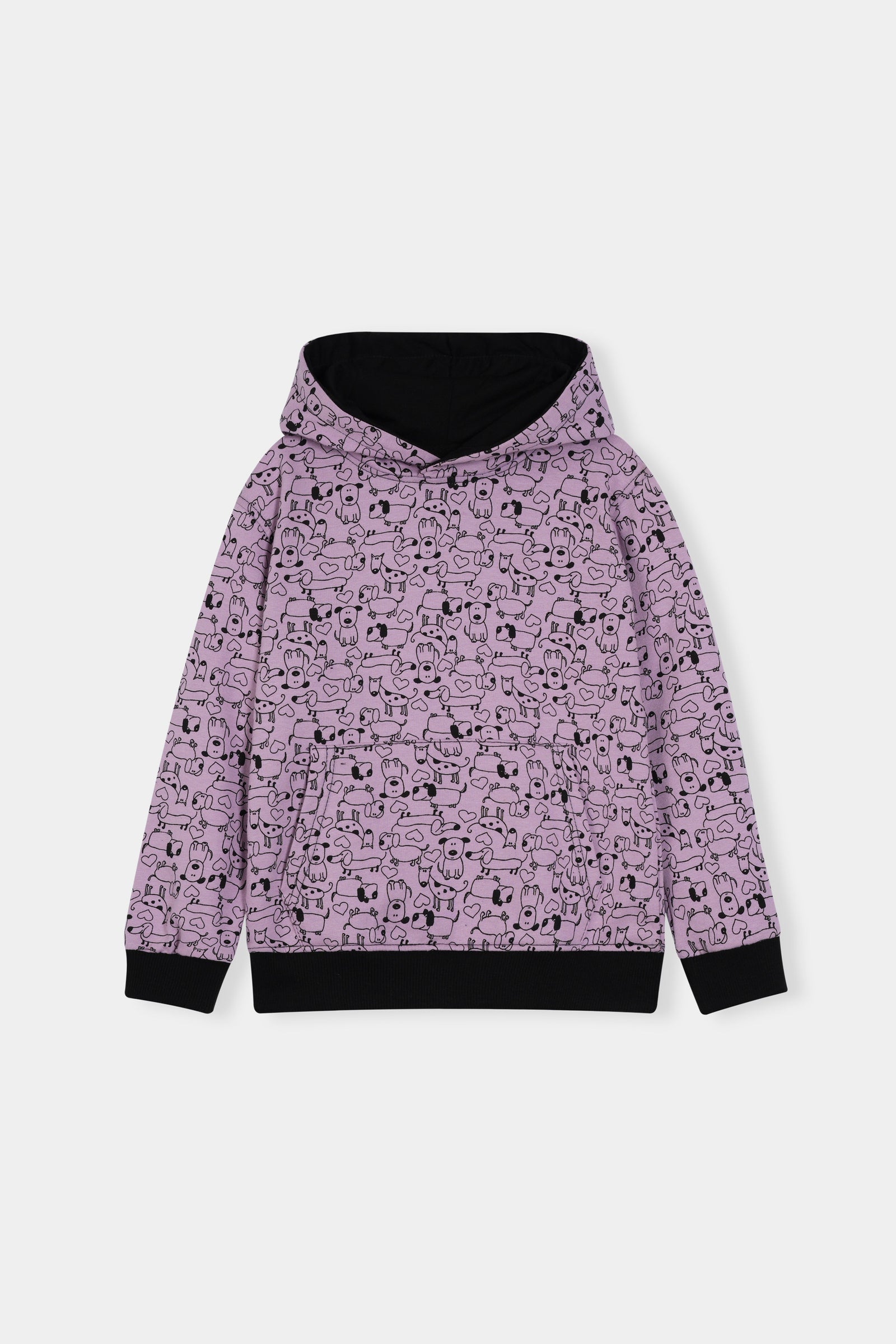 Boys Cozy Cartoon Character Hoodie and Jogger Set for Kids