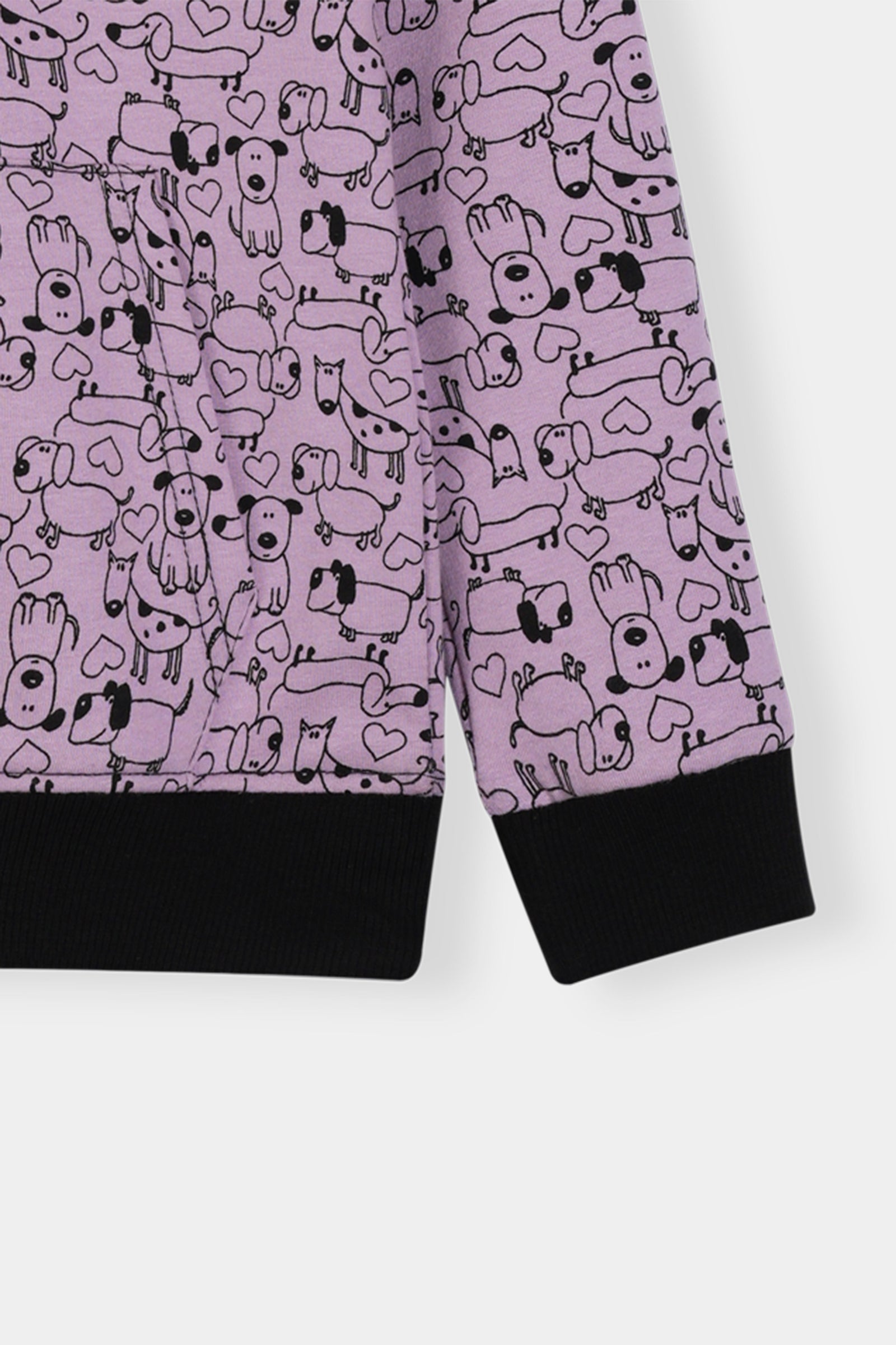 Boys Cozy Cartoon Character Hoodie and Jogger Set for Kids