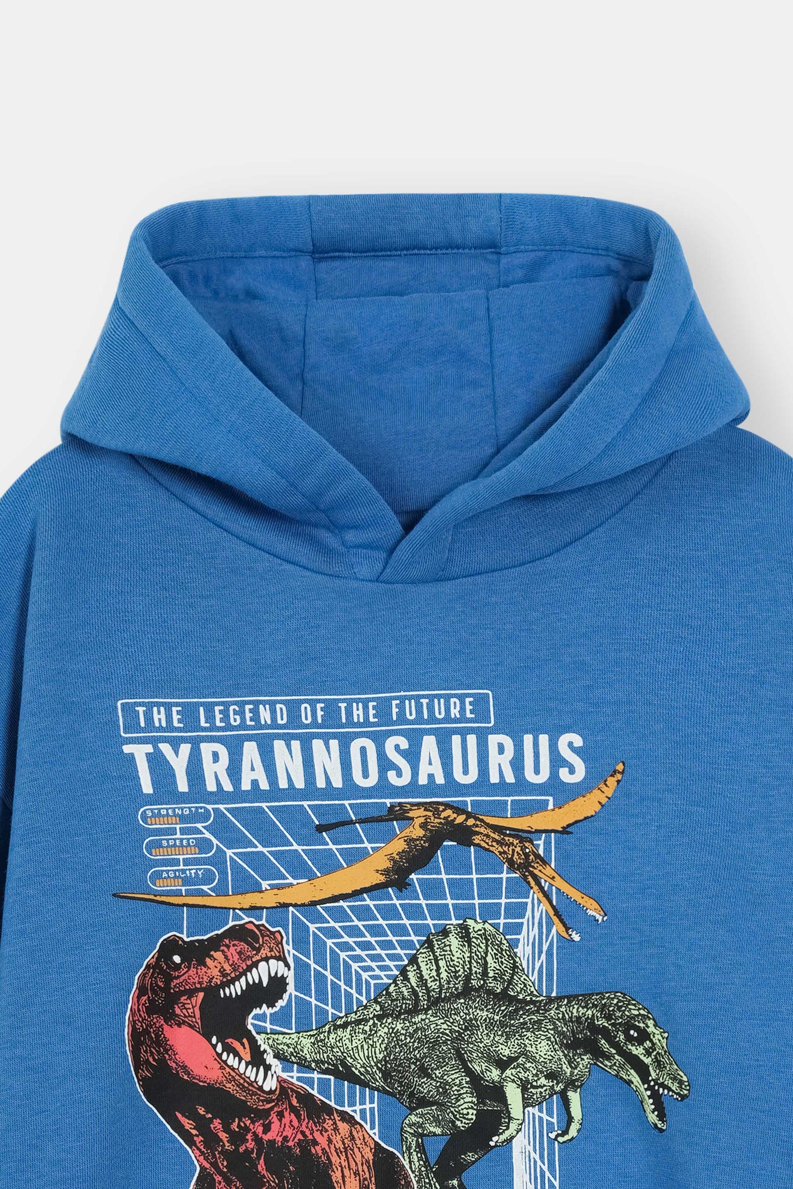 Blue Dinosaur Hoodie – Tyrannosaurus Graphic Print Pullover