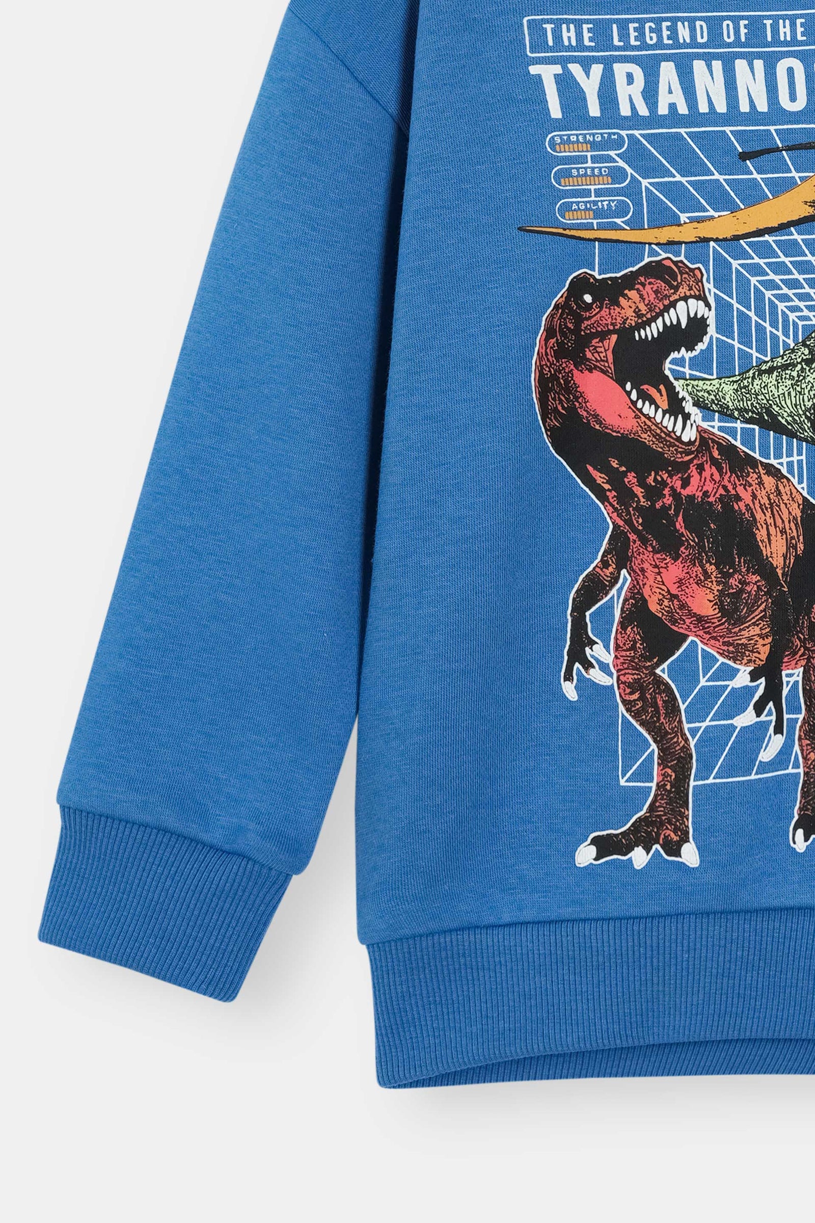 Blue Dinosaur Hoodie – Tyrannosaurus Graphic Print Pullover