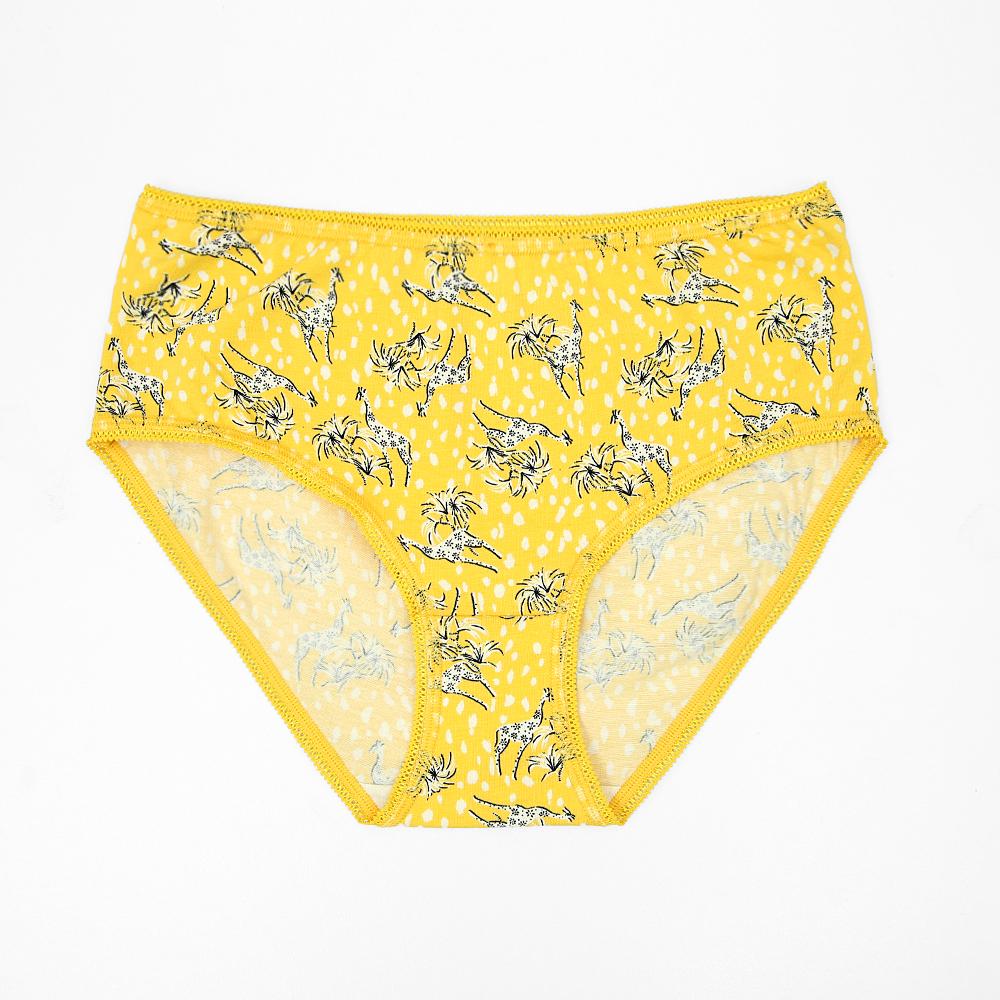 Imported Women All-Over Printed Cotton High Leg Knickers (21446)