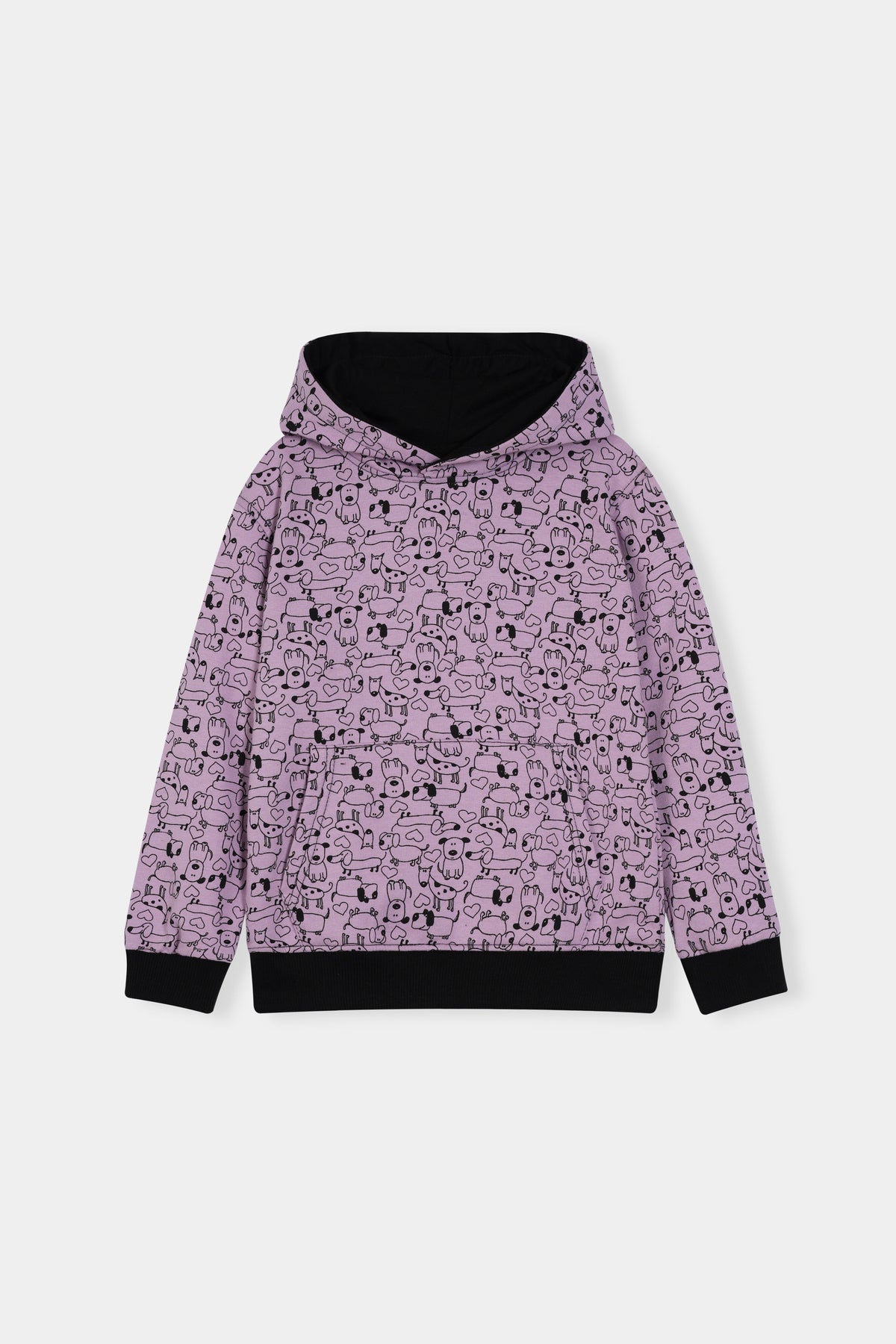 Boys Cozy Cartoon Character Hoodie and Jogger Set for Kids