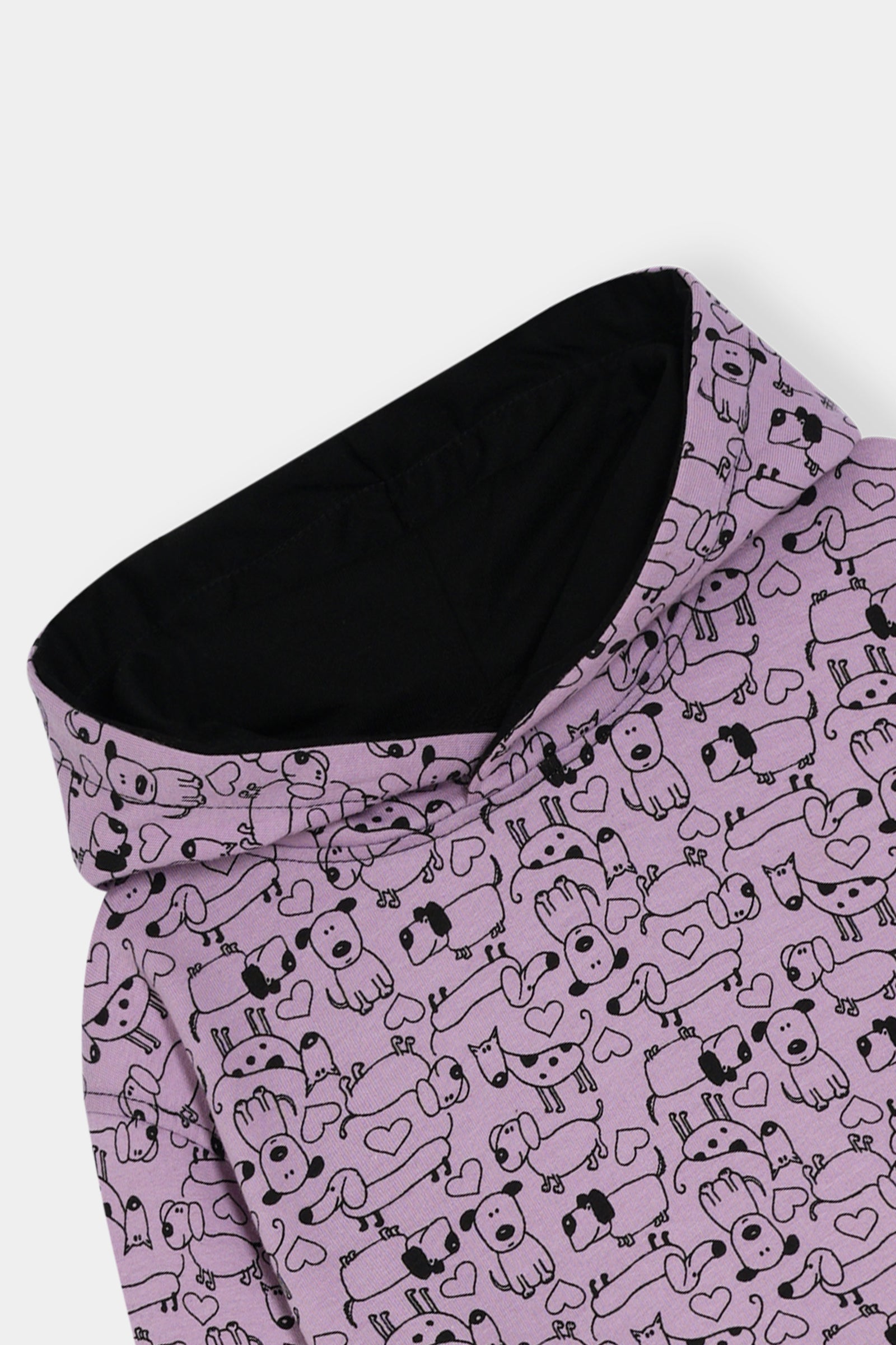 Boys Cozy Cartoon Character Hoodie and Jogger Set for Kids