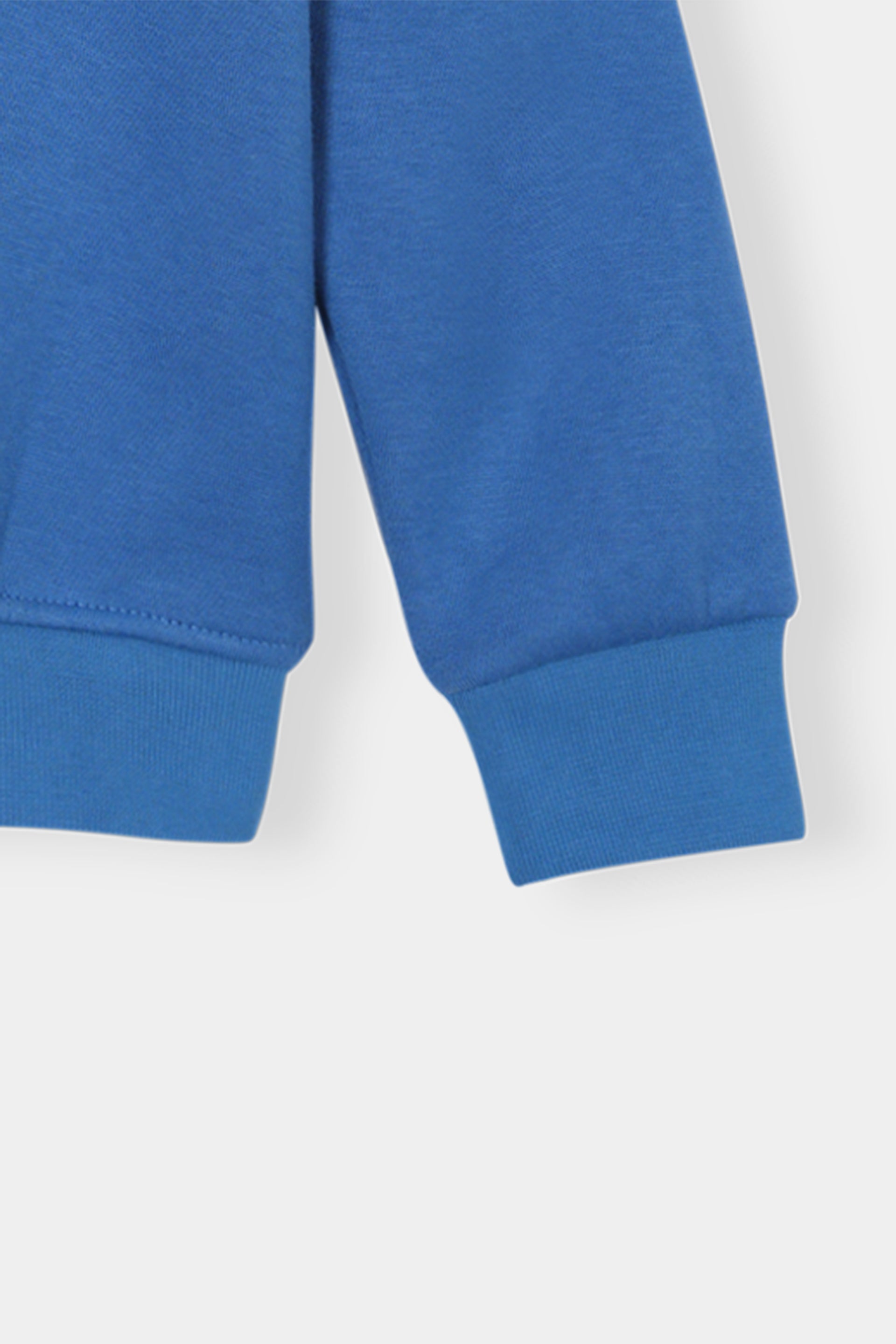 Boys  Blue Hoodie & Jogger Set with Printed Animal Band