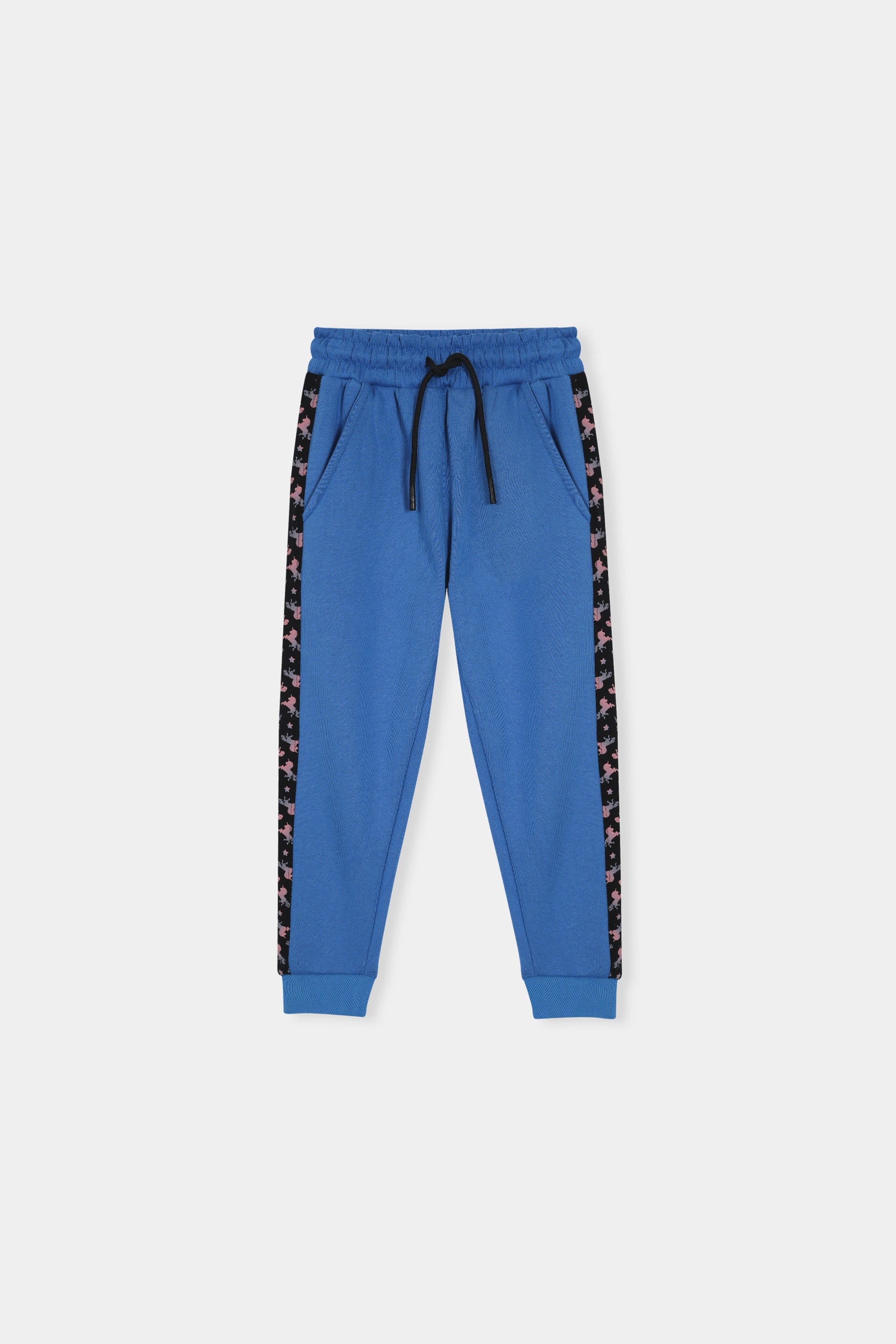 Boys  Blue Hoodie & Jogger Set with Printed Animal Band