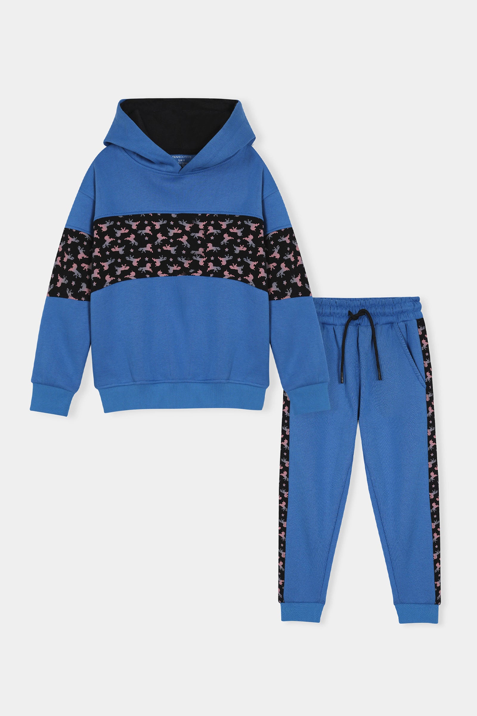 Boys  Blue Hoodie & Jogger Set with Printed Animal Band