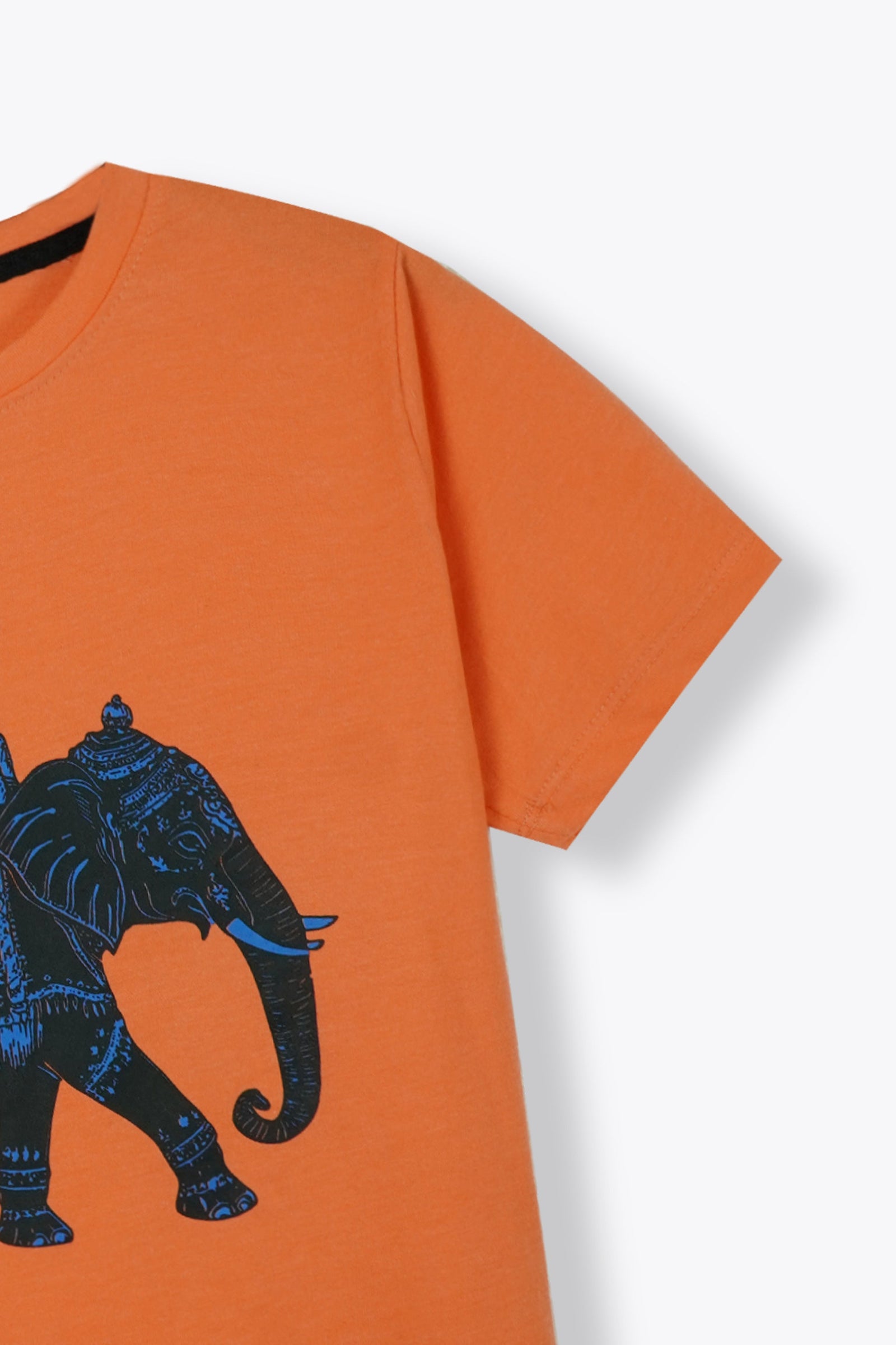 Elephant Print T Shirt