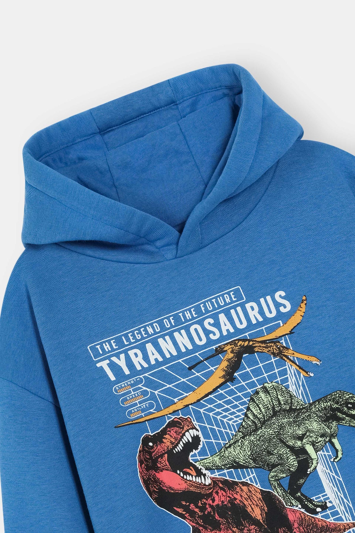 Blue Dinosaur Hoodie – Tyrannosaurus Graphic Print Pullover