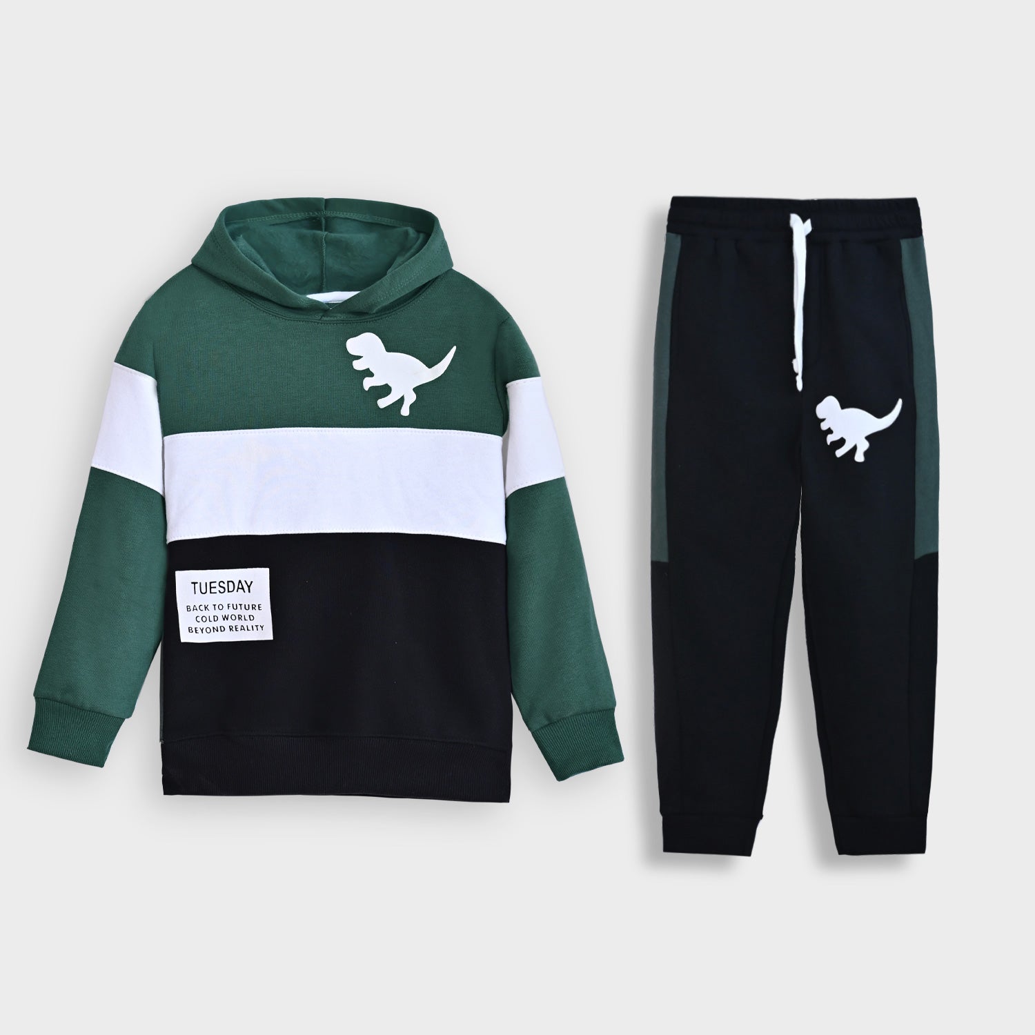 Premium Quality "Dino" Printed Fleece TrackSuit For Kids