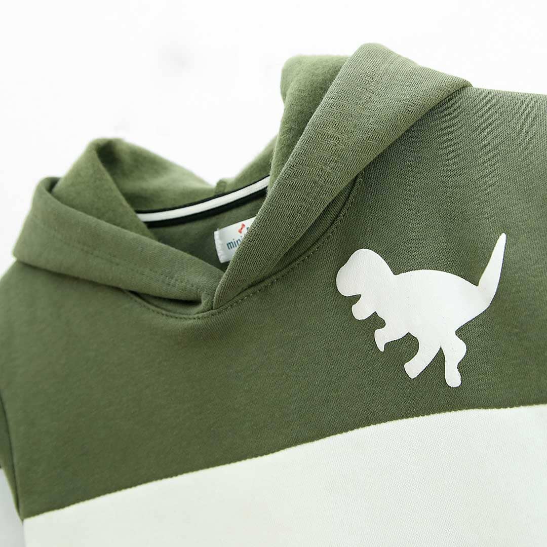 Premium Quality ''Dino'' Printed Color Block Fleece Pull-Over Hoodie For Kids (120951)