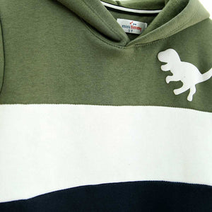 Premium Quality ''Dino'' Printed Color Block Fleece Pull-Over Hoodie For Kids (120951)