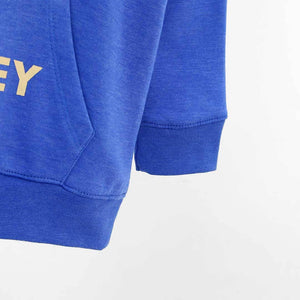 Blue Reglan Sleeves Kangaroo Pocket Graphic Sweatshirt For Kids (120895)