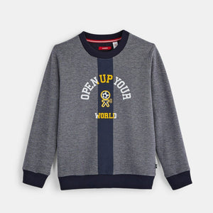 Kids exclusive Sports High Density Printed Sweatshirt (30161)