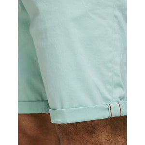 Premium Quality Silt Green Classic Chino Shorts (2562)
